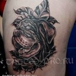 Фото тату бульдог 27.02.2019 №161 - Photo tattoo bulldog - tattoo-photo.ru