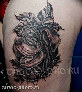 Фото тату бульдог 27.02.2019 №161 - Photo tattoo bulldog - tattoo-photo.ru