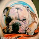 Фото тату бульдог 27.02.2019 №172 - Photo tattoo bulldog - tattoo-photo.ru