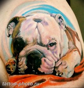 Фото тату бульдог 27.02.2019 №172 - Photo tattoo bulldog - tattoo-photo.ru