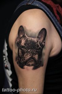 Фото тату бульдог 27.02.2019 №173 - Photo tattoo bulldog - tattoo-photo.ru