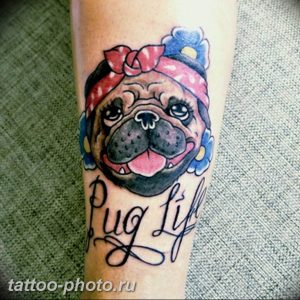 Фото тату бульдог 27.02.2019 №179 - Photo tattoo bulldog - tattoo-photo.ru