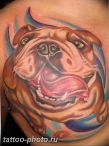 Фото тату бульдог 27.02.2019 №185 - Photo tattoo bulldog - tattoo-photo.ru