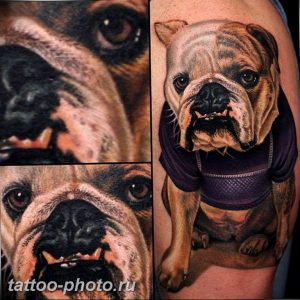 Фото тату бульдог 27.02.2019 №187 - Photo tattoo bulldog - tattoo-photo.ru