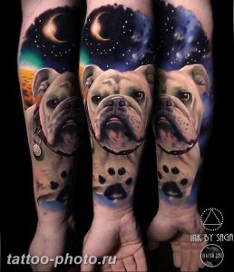 Фото тату бульдог 27.02.2019 №188 - Photo tattoo bulldog - tattoo-photo.ru