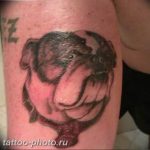 Фото тату бульдог 27.02.2019 №194 - Photo tattoo bulldog - tattoo-photo.ru