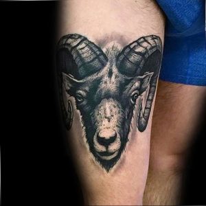 фото тату козерог 05.03.2019 №032 - photo tattoo ibex - tattoo-photo.ru