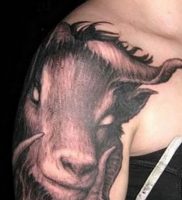 фото тату козерог 05.03.2019 №081 — photo tattoo ibex — tattoo-photo.ru