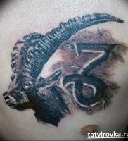 фото тату козерог 05.03.2019 №083 — photo tattoo ibex — tattoo-photo.ru
