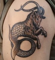 фото тату козерог 05.03.2019 №087 — photo tattoo ibex — tattoo-photo.ru