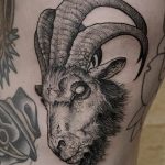 фото тату козерог 05.03.2019 №001 - photo tattoo ibex - tattoo-photo.ru