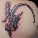 фото тату козерог 05.03.2019 №005 - photo tattoo ibex - tattoo-photo.ru