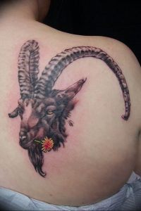 фото тату козерог 05.03.2019 №005 - photo tattoo ibex - tattoo-photo.ru