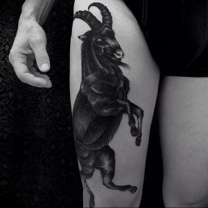 фото тату козерог 05.03.2019 №010 - photo tattoo ibex - tattoo-photo.ru
