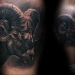 фото тату козерог 05.03.2019 №020 - photo tattoo ibex - tattoo-photo.ru