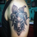 фото тату козерог 05.03.2019 №068 - photo tattoo ibex - tattoo-photo.ru