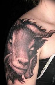 фото тату козерог 05.03.2019 №081 - photo tattoo ibex - tattoo-photo.ru