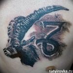 фото тату козерог 05.03.2019 №083 - photo tattoo ibex - tattoo-photo.ru