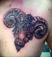 фото тату козерог 05.03.2019 №088 — photo tattoo ibex — tattoo-photo.ru