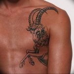 фото тату козерог 05.03.2019 №093 - photo tattoo ibex - tattoo-photo.ru