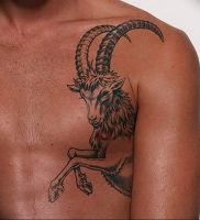 фото тату козерог 05.03.2019 №093 — photo tattoo ibex — tattoo-photo.ru