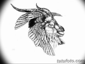 фото тату козерог 05.03.2019 №107 - photo tattoo ibex - tattoo-photo.ru