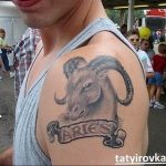 фото тату козерог 05.03.2019 №128 - photo tattoo ibex - tattoo-photo.ru