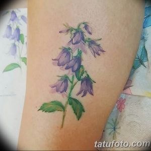 Фото тату цветок колокольчики 15.04.2019 №011 - ideas flower bells tattoo - tattoo-photo.ru