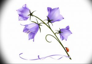 Фото тату цветок колокольчики 15.04.2019 №035 - ideas flower bells tattoo - tattoo-photo.ru