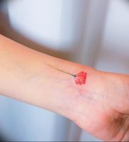 фото мини тату тюльпан 06.04.2019 №021 — mini tattoo tulip — tattoo-photo.ru