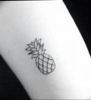 фото тату ананас 24.04.2019 №017 — tattoo pineapple — tattoo-photo.ru