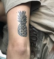 фото тату ананас 24.04.2019 №025 — tattoo pineapple — tattoo-photo.ru