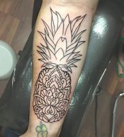 фото тату ананас 24.04.2019 №029 — tattoo pineapple — tattoo-photo.ru