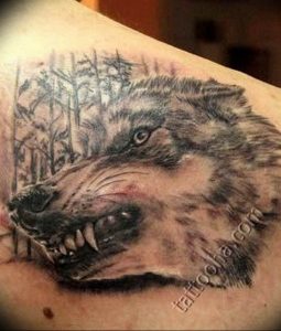 фото тату волчий оскал 01.05.2019 №009 - wolf grin tattoo - tattoo-photo.ru