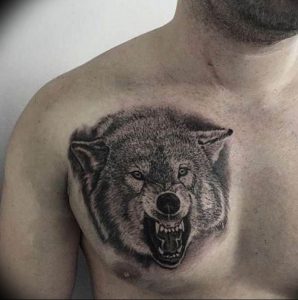 фото тату волчий оскал 01.05.2019 №013 - wolf grin tattoo - tattoo-photo.ru