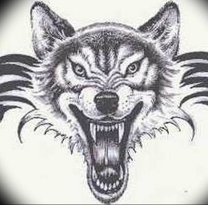 фото тату волчий оскал 01.05.2019 №034 - wolf grin tattoo - tattoo-photo.ru