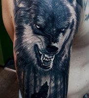 фото тату волчий оскал 01.05.2019 №037 — wolf grin tattoo — tattoo-photo.ru