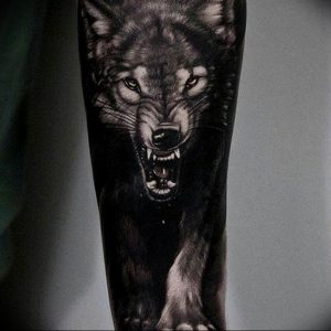 фото тату волчий оскал 01.05.2019 №040 - wolf grin tattoo - tattoo-photo.ru