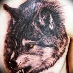 фото тату волчий оскал 01.05.2019 №041 - wolf grin tattoo - tattoo-photo.ru