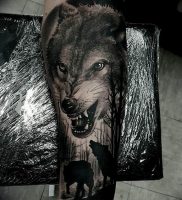фото тату волчий оскал 01.05.2019 №043 — wolf grin tattoo — tattoo-photo.ru