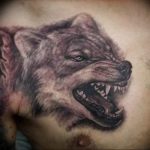 фото тату волчий оскал 01.05.2019 №076 - wolf grin tattoo - tattoo-photo.ru