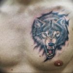 фото тату волчий оскал 01.05.2019 №106 - wolf grin tattoo - tattoo-photo.ru