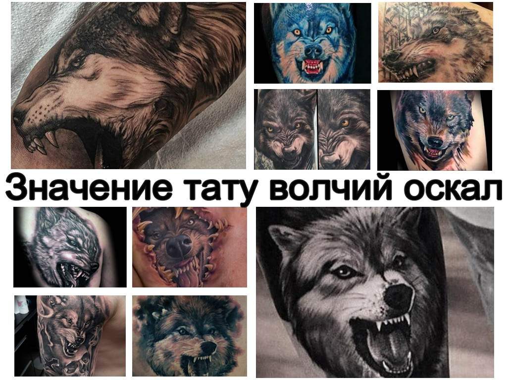 Значение тату волчий оскал - информация про особенности рисунка и варианты готовых тату на фото