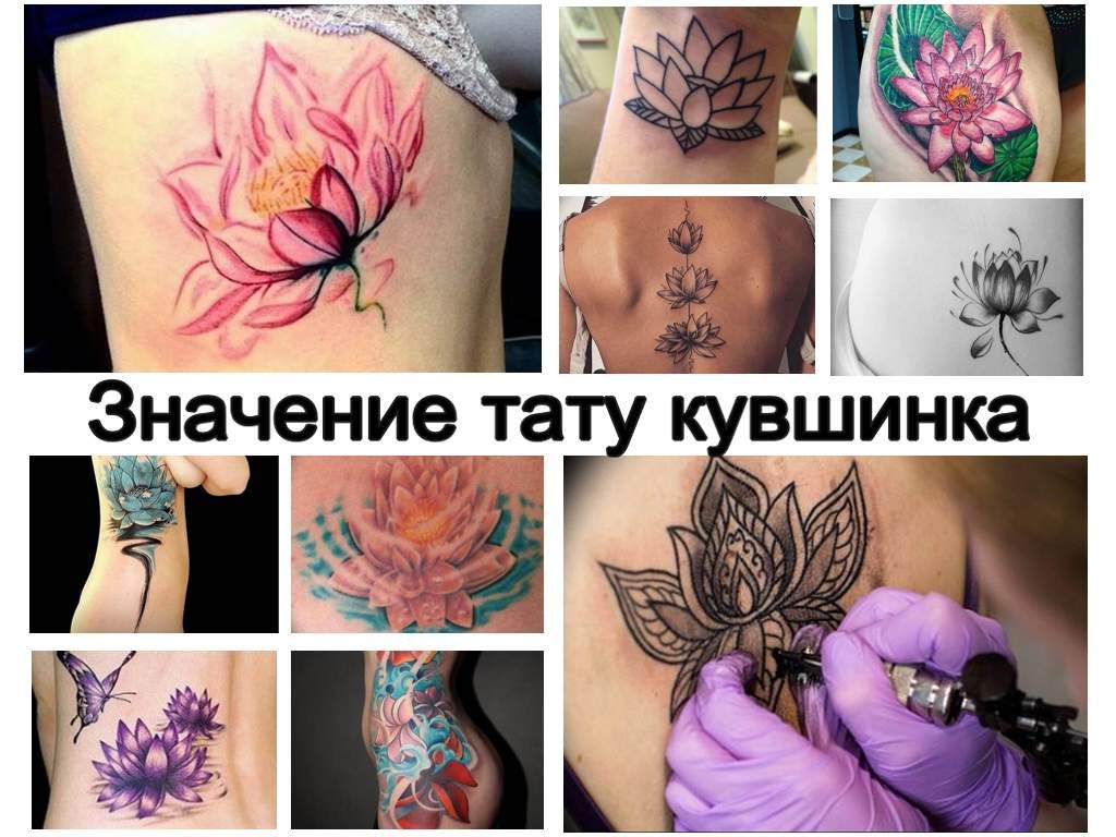 Значение тату кувшинка - информация про особенности рисунка и фото примеры готовых татуировок