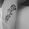 Фото тату цветок колокольчики 15.04.2019 №024 - ideas flower bells tattoo - tattoo-photo.ru