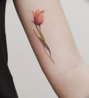 фото мини тату тюльпан 06.04.2019 №009 — mini tattoo tulip — tattoo-photo.ru