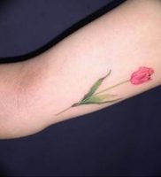 фото мини тату тюльпан 06.04.2019 №010 — mini tattoo tulip — tattoo-photo.ru