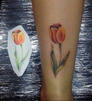 фото мини тату тюльпан 06.04.2019 №025 — mini tattoo tulip — tattoo-photo.ru