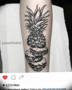 фото тату ананас 24.04.2019 №164 - tattoo pineapple - tattoo-photo.ru