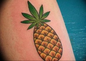 фото тату ананас 24.04.2019 №186 - tattoo pineapple - tattoo-photo.ru